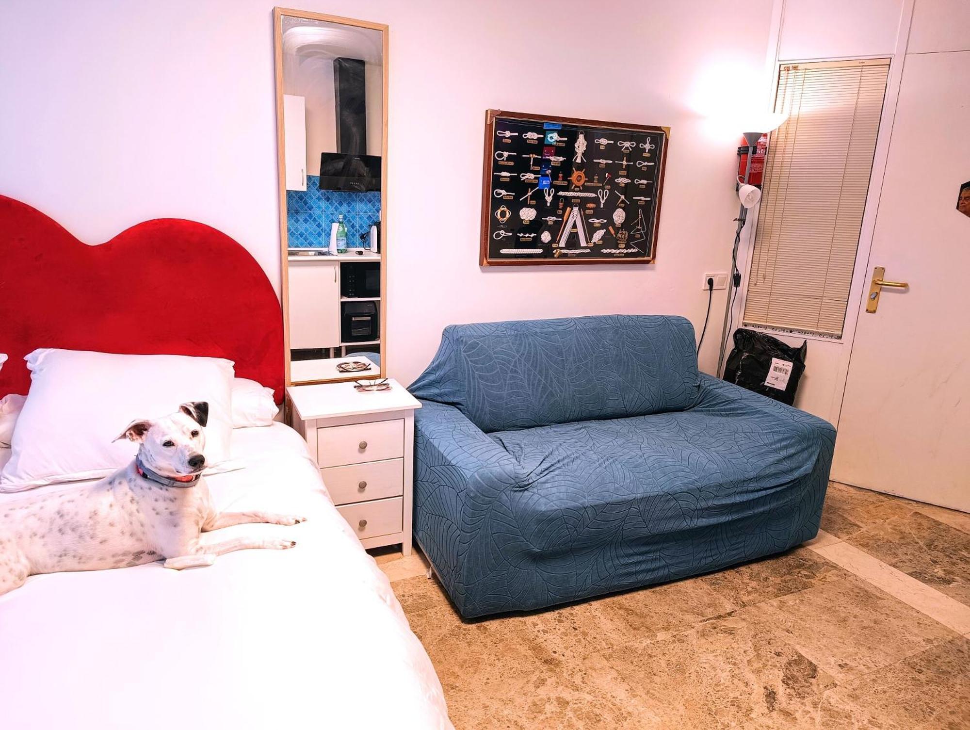 Hostal Estudios Badalona Eksteriør billede