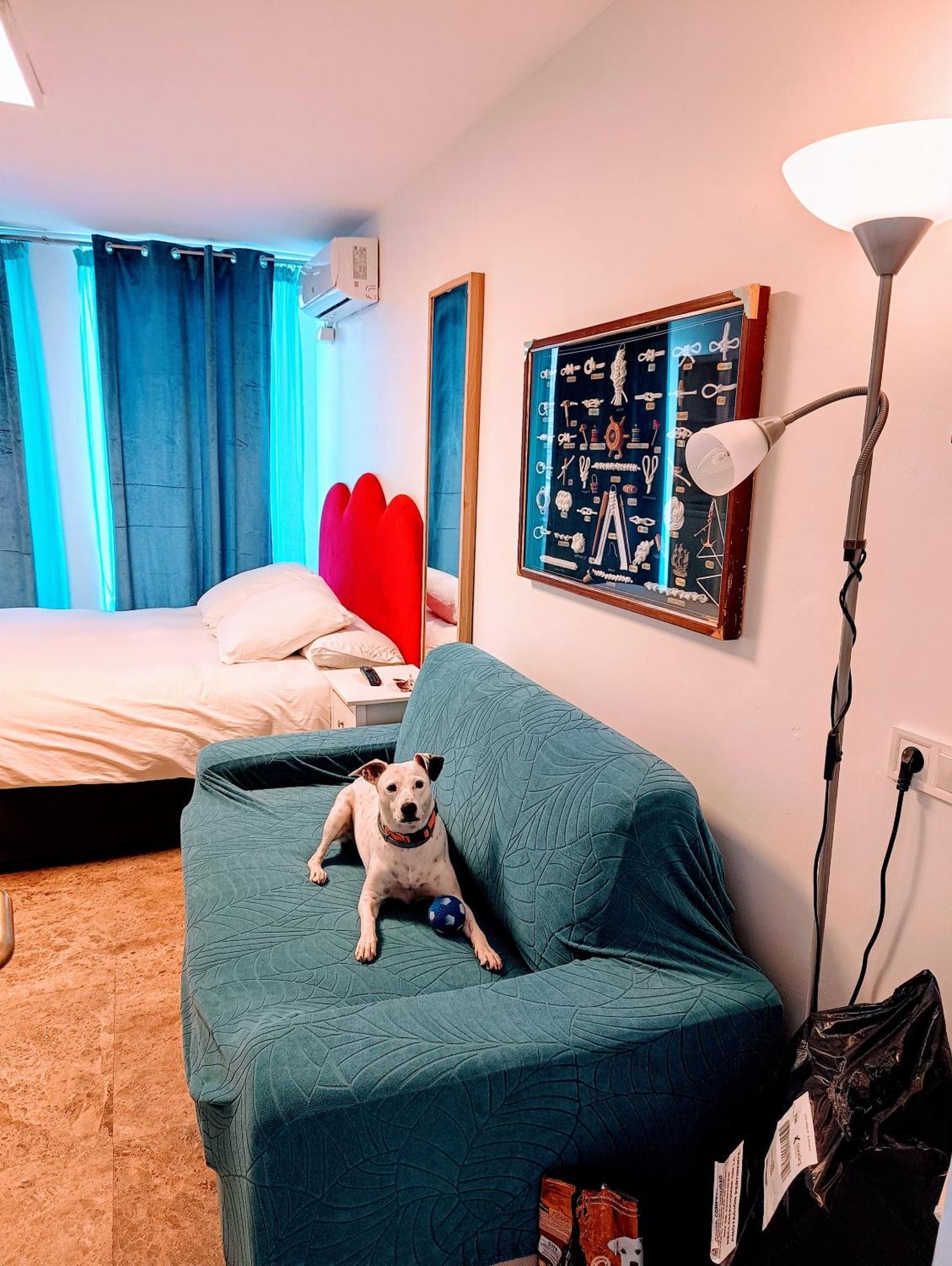 Hostal Estudios Badalona Eksteriør billede